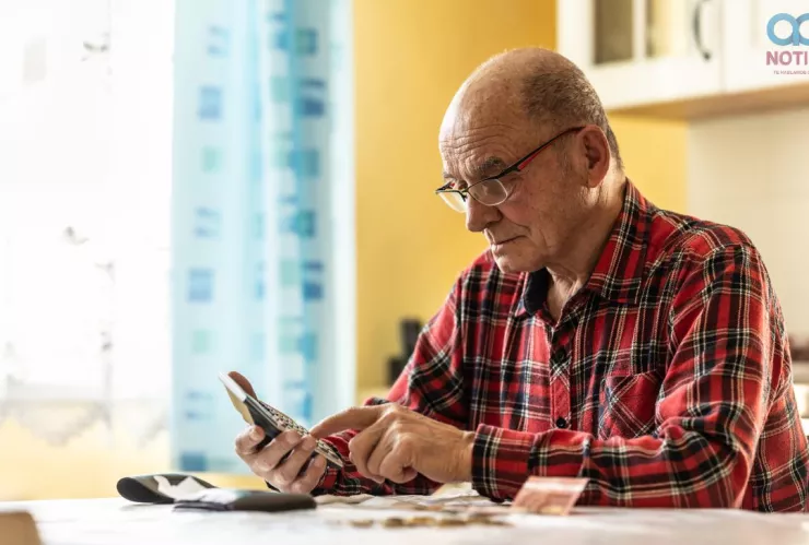 Pension vitalicia en el IMSS semanas