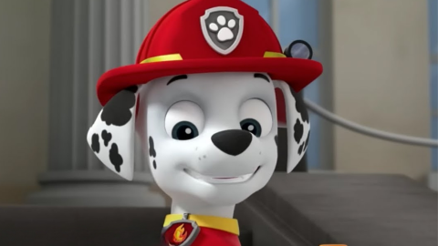 5 capítulos de Paw Patrol que enseñan a los niños a cuidar y querer a los animales