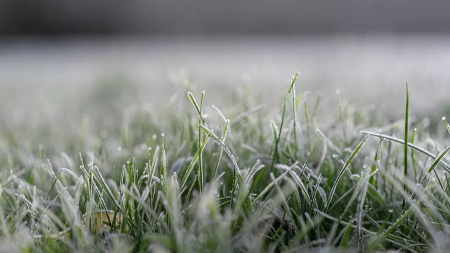 Alertan riesgo de heladas por Frente Frío 16 en Puebla hoy; dejarán temperaturas bajo cero