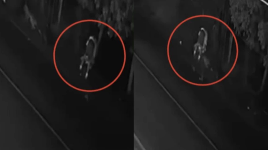 Captura de pantalla 2025-11-19 a la(s) 1.38.21 p.m..png