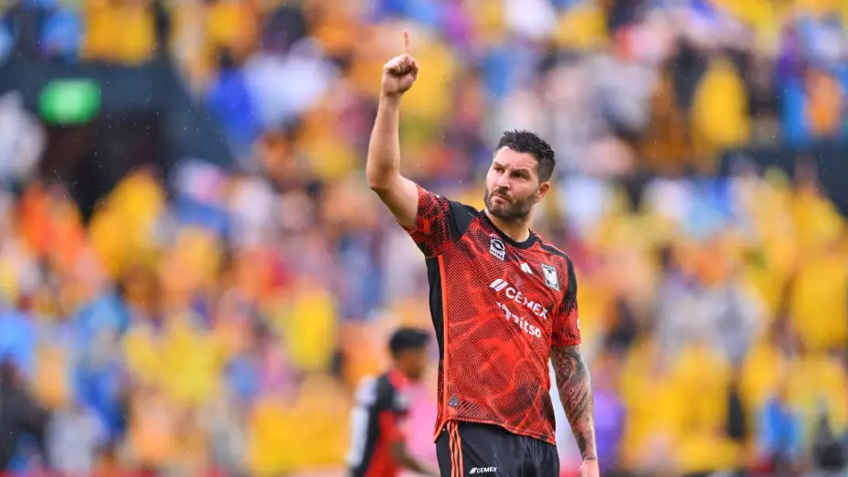 gignac, tigres