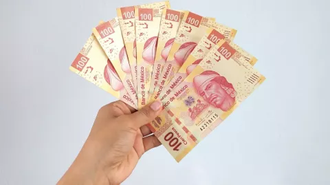 Cuántos días tarda el SAT en devolver el saldo a favor de tu Declaración Anual.jpg