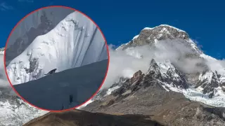 Extraño felino en el Everest