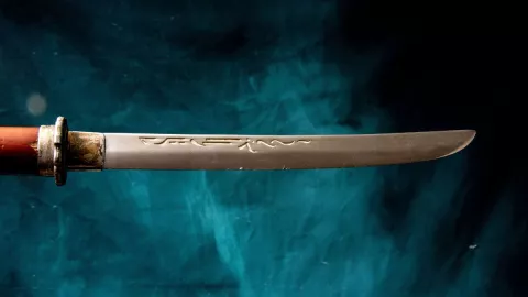 VIDEO: Un joven apuñala con una espada samurái a su madre y perro