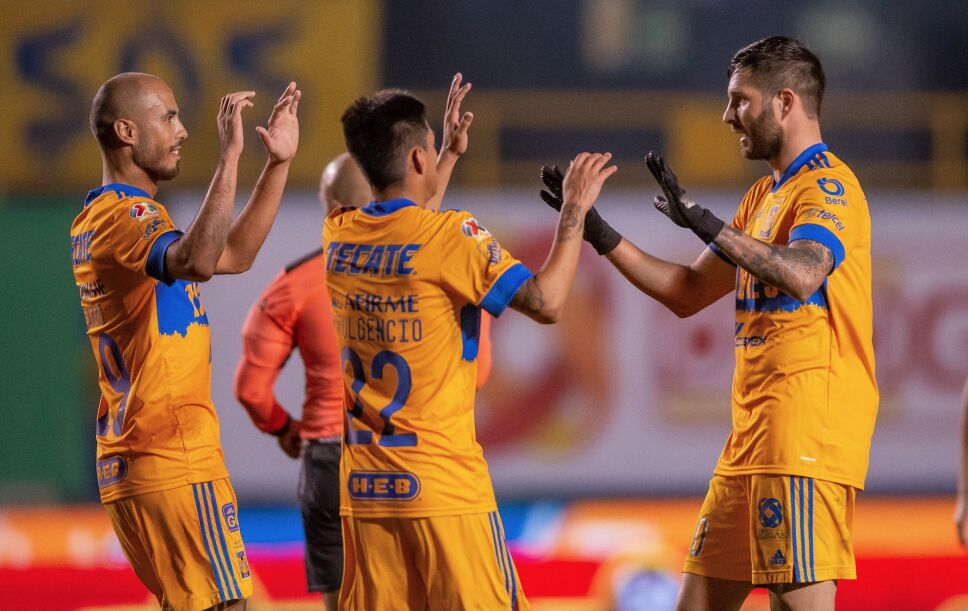 Tigres
