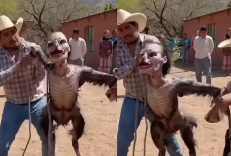 Captan a bruja en plena transformación en Michoacán.