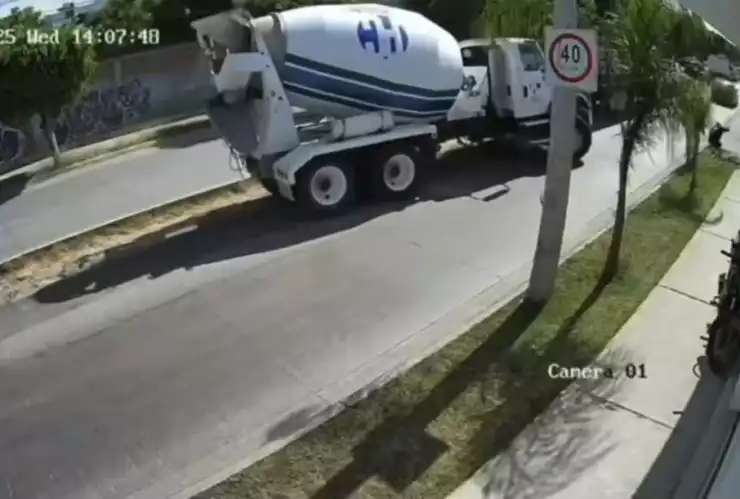 Atropellado León.jpeg