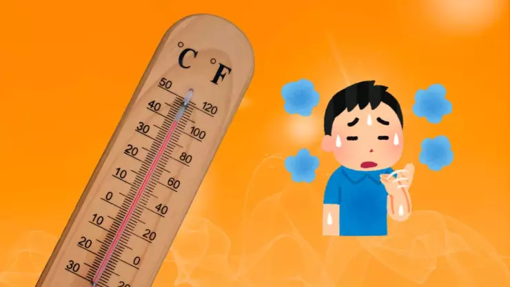 El calor excesivo y las temperaturas extremas podrían ocasionar estrés térmico