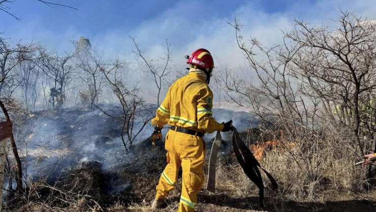Incendio en el Cerro del Cubilete, 12 marzo 2025 ¿qué afectaciones tuvo.png
