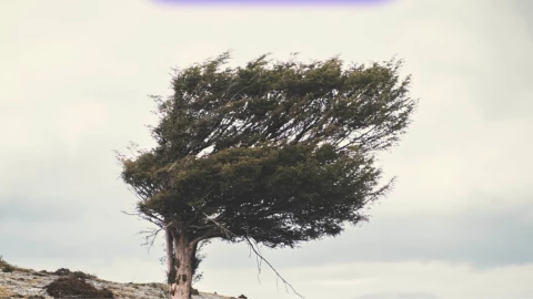 Frente Frío 40 ya golpea Morelos.