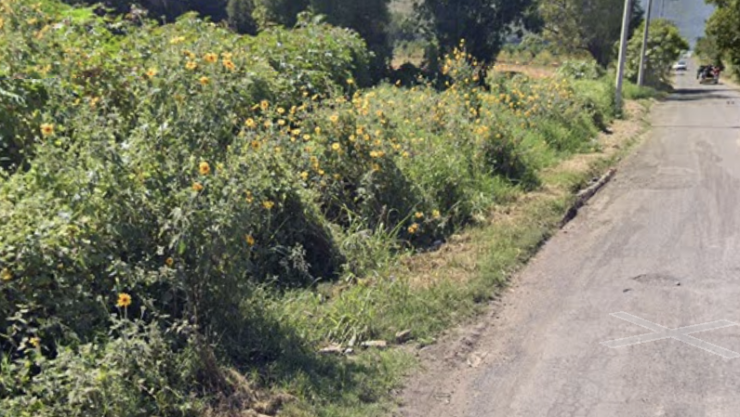 Paraje entre Peña y Santa María