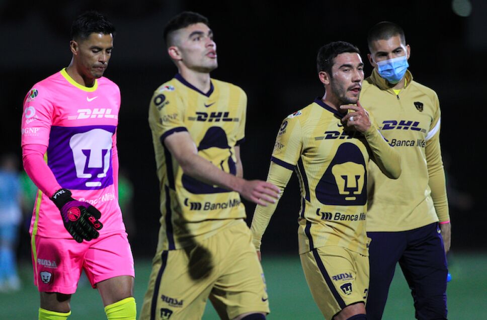 Pumas .jpg