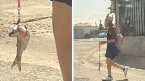 Sale a pasear pez en Mexicali