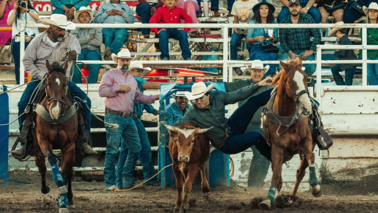 Rodeo Chihuahua