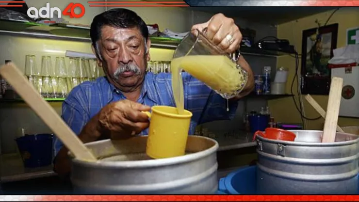 Conoce el Milpa Bus y recorre la ruta del pulque en Milpa Alta