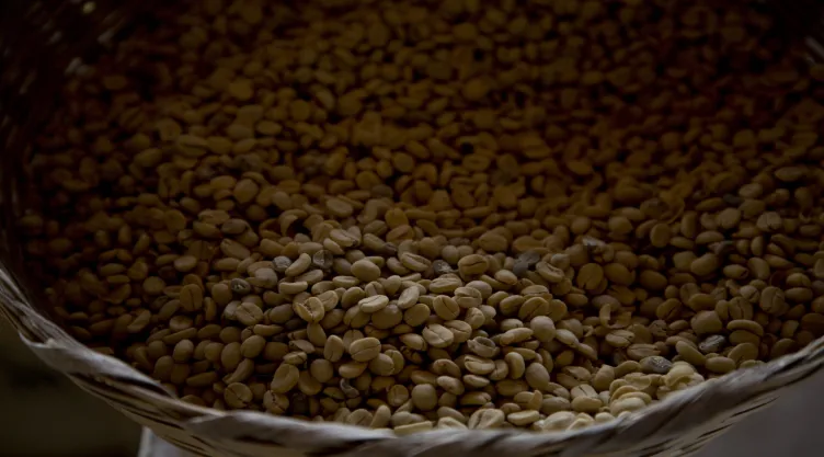 CAFÉ-ORÍGENES