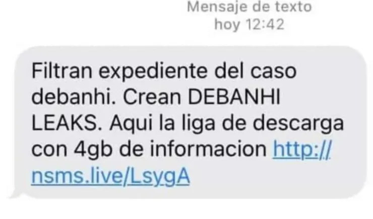 Debanhi virus celular.jpg
