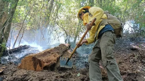 Tepozteco estará cerrado los siguientes 5 años