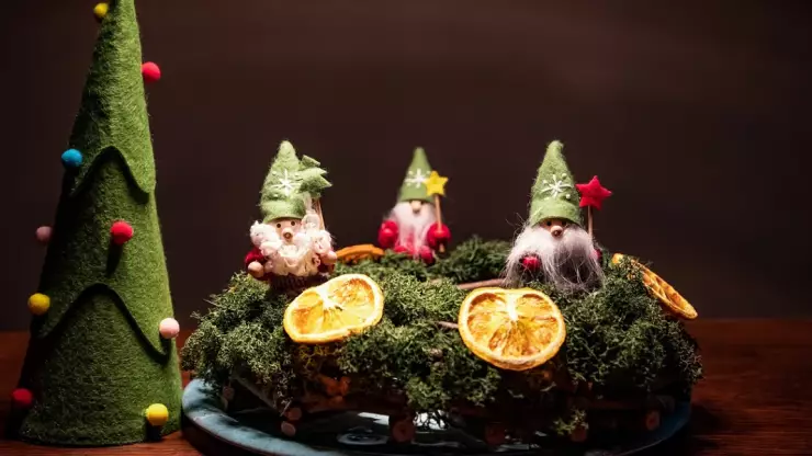 musgo nacimiento .jpg