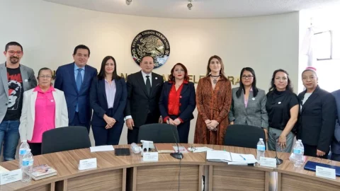 elecciones-2024-en-puebla-ine-consejo-local-proceso-electoral-concurrente-puebla