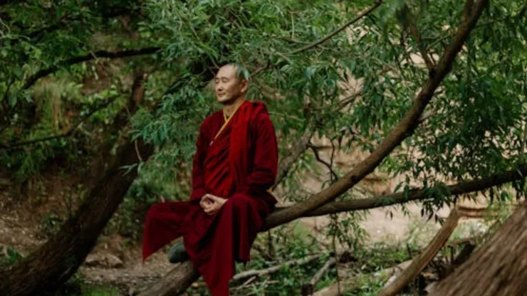 efectos-negativos-del-mindfulness-estudio-revela-riesgos-la-meditacion-en-la-salud-mental