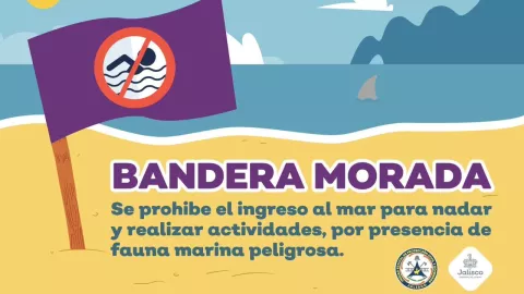 ¿Qué significa la bandera morada en el mar?