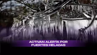 ¡Preparen las chamarras! Activan alerta por heladas extremas