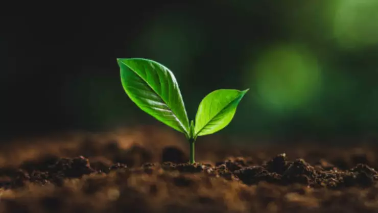 Efemérides del 5 de diciembre: ¿Qué sucedió en México y el mundo?