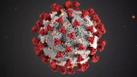 Virus VSR: ¿Qué es, por qué se origina y cuáles son sus síntomas?
