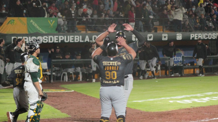 Leones de Yucatán