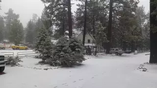 Nevada en San Pedro Martir