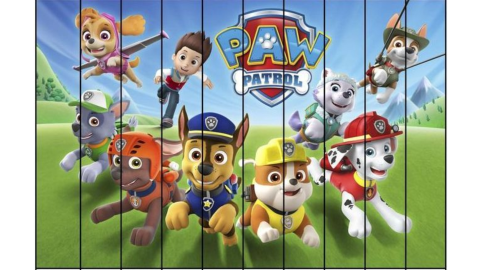 Paw Patrol