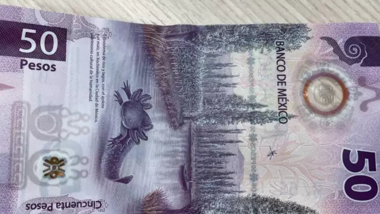 ofrecen millones billete del ajolote