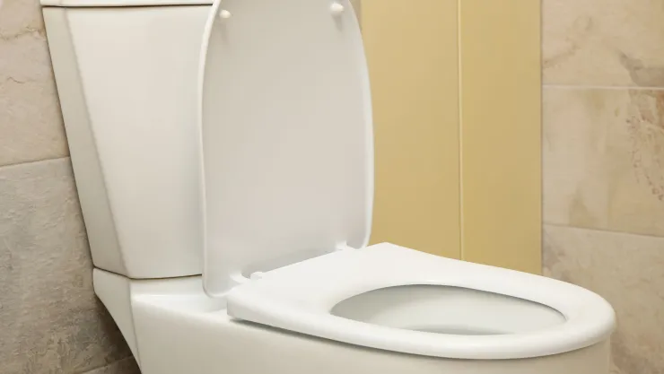 ¿Por qué usar sal en el inodoro para mantenerlo limpio y fresco?