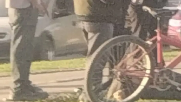 Ciclista es atropellado sobre el bulevar Torres Landa, en León: Esto sabemos