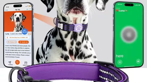 Collar para perro con GPS.jpg