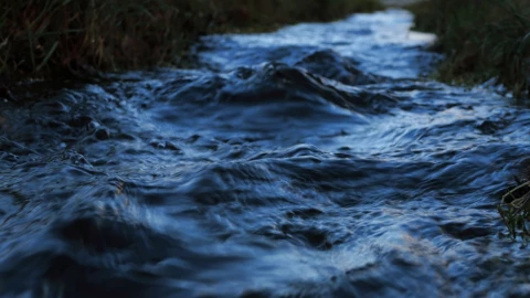 muere mujer al intentar rescatar a su hijo río tamazula