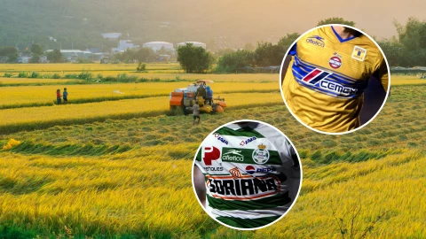 Ex Tigres y Santos Laguna se dedica al campo hoy