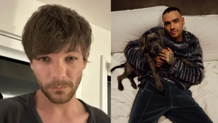 ONE DIRECTION, MIEMBROS MENSAJE