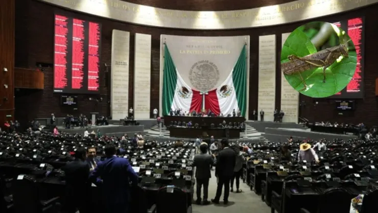 ¿Qué es el ‘chapulineo’ político Así “saltan” los diputados y senadores en el Congreso