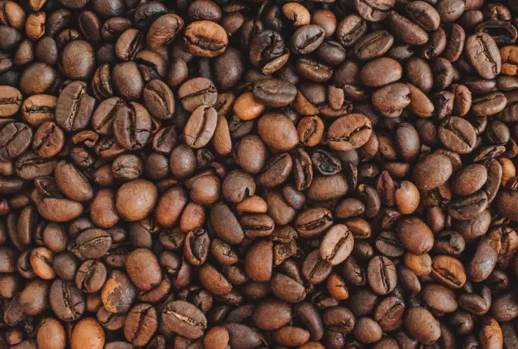 cafe-veracruz-denominacion-origen-famoso