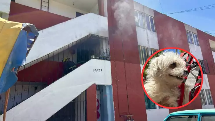 Incendio sauces.jpeg