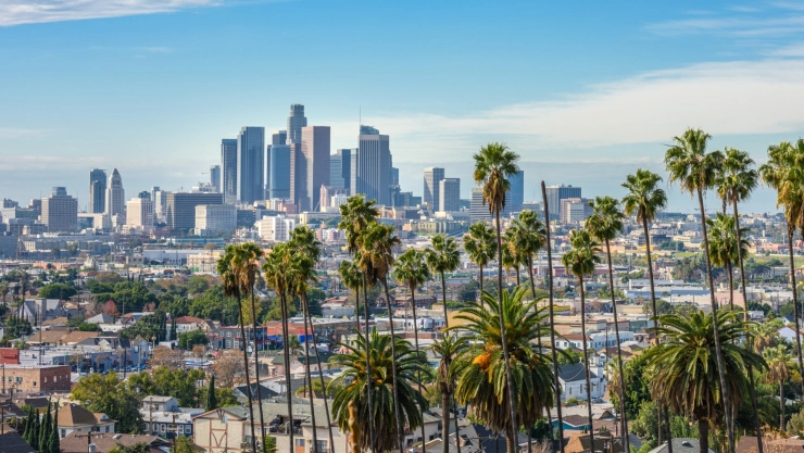 Ciudad en California desde lo lejos, con las palmeras típicas, las casas bajas de la periferia y los edificios inmensos del centro.