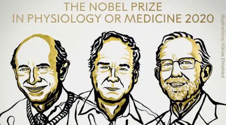 premio-nobel-medicina-.jpg