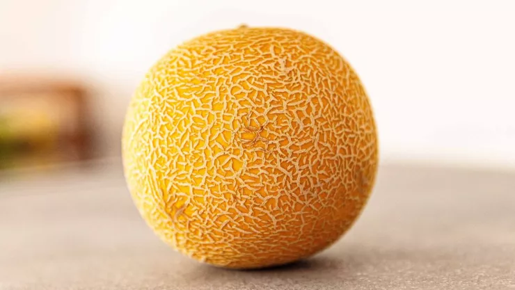 Melones con salmonela