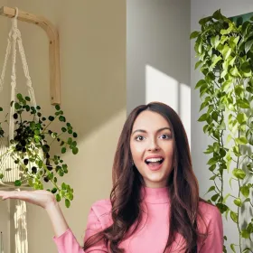 plantas colgantes