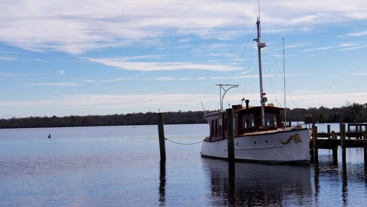 Postal del Río St. Johns en Palatka, Florida