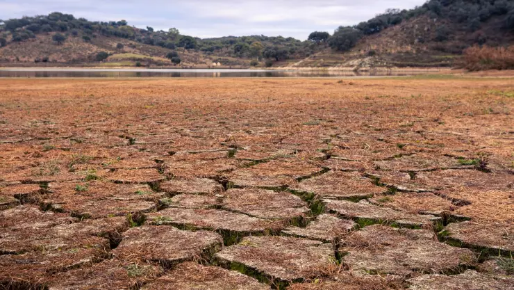 sequía en Chihuahua
