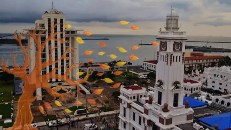 otoño 2024 veracruz.