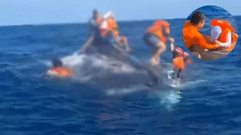 VIDEO ¡De película! Rescatan a 3 personas tras el hundimiento de una embarcación en Acapulco